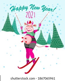 Cartoon cow goes skiing slalom between fir trees from the mountain. Humorous winter vacation tee shirt print with blue snowflakes and Chinese 2021 New Year holidays post card, party invitation