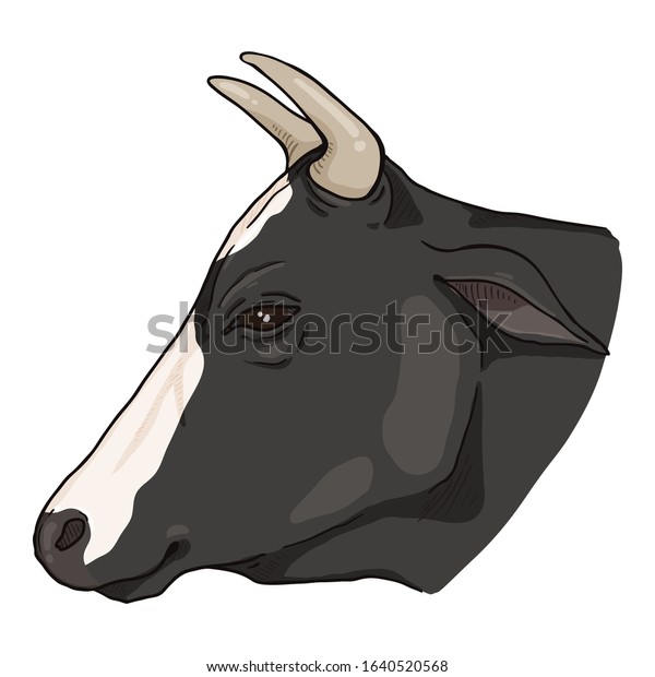 Cartoon Cow Head Vector Cattle Illustration Stock Vector Royalty Free 1640520568