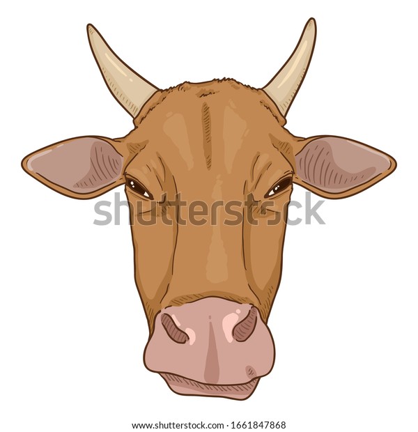 Cartoon Cow Head Vector Cattle Illustration Stock Vector Royalty Free 1661847868 9040