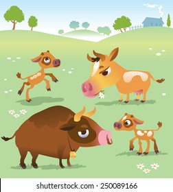 Cartoon cow set: cows, bull and calf bull. 