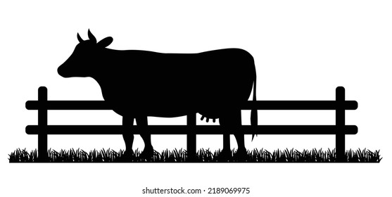 Cartoon cow and taurus or bull. Vector cow silhouette. farm animals. Cattle icon or pictogram. Farmer ranch. Wooden fence paddock. livestock. Cow fart - animal is producing greenhouse gas and methane.