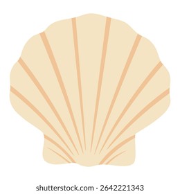 Cartoon cowrie shell with smooth surface. Flat vector illustration in soft beige marine tones.