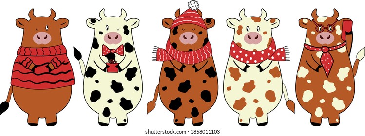 Vacas de caricatura. Símbolo de 2021. Ilustración del vector