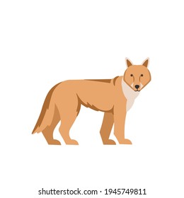 Cartoon Coyote On A White Background.Flat Cartoon Illustration For Kids.