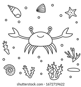 Cartoon crab, shells, corals, starfish, sea plant, stone. Vector illustration.