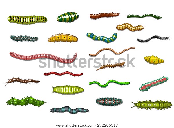 Cartoon Crawling Wriggling Caterpillars Worms Stripes Stock Vector ...