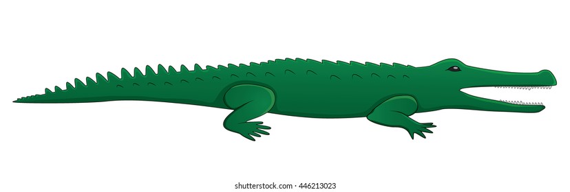 Cartoon crocodile