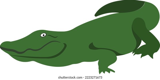 Cartoon crocodile. Green crawling crocodile. Aquatic animal. Vector illustration.