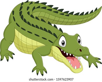 Cartoon crocodile isolated on white background