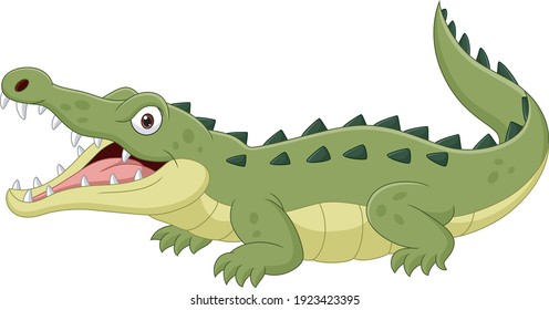 Cartoon crocodile isolated on white background 