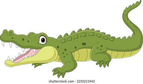 Cartoon crocodile isolated on white background 