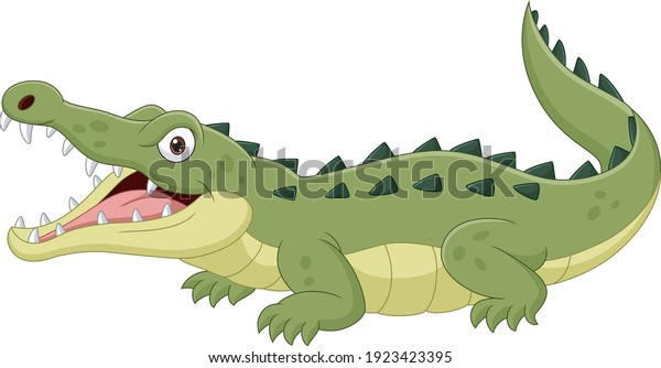 Cartoon crocodile\
isolated on white background\
