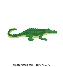 Cartoon crocodile on a white background.Flat cartoon illustration for kids.
