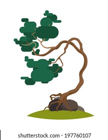 Cartoon crooked pine tree on transparent background