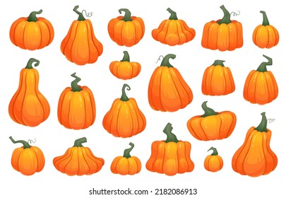 Cartoon crop squash. Pumpkin gourd fresh organic vegetable, orange autumn harvest simple fall pumpkins Thanksgiving or Halloween, pictogram flat icon ingenious vector illustration of pumpkin autumn
