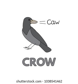 Cartoon crow flashcard. Vector illustration for children education