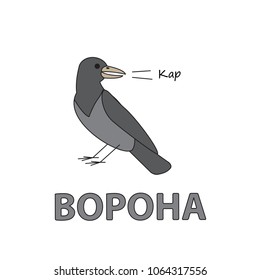 Cartoon crow flashcard. Vector illustration for children education with Crow text in Russian language