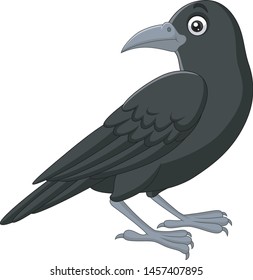 Cartoon crow isolated on white background