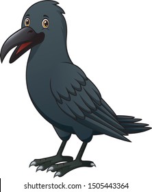 Cartoon crow isolated on white background illustration