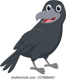 Cartoon crow isolated on white background