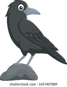 Cartoon crow standing in stone on white background 