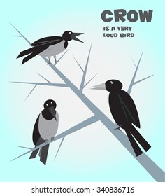 Cartoon crows and a rook. Vector illustration.