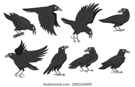 Canto de caricatura. Aves negras silvestres, personajes cuervos en diferentes poses e ilustraciones vectoriales voladoras conjunto de personajes de guijarros de dibujos animados