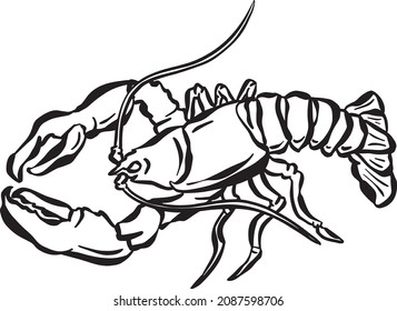 Cartoon Crustacean Shrimp Lobster Fish Vector Illustration