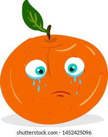 A cartoon of a crying orange with pouring tears, vector, color drawing or illustration.