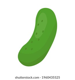 Cartoon cucumber isolated on white background. Flat cartoon vector illustration. Isolated on white background. Vegan concept