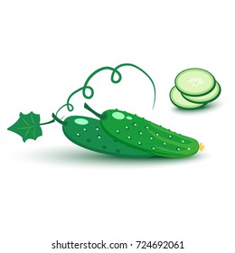 Cartoon cucumber, whole and slices. Vector illustration