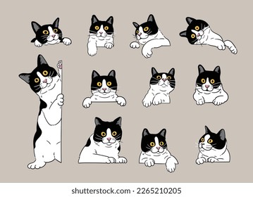 cartoon curious peeking tuxedo cats