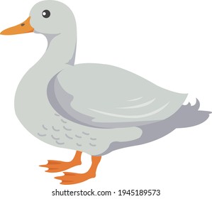 cartoon cut animal duck illustration