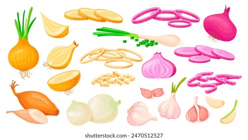 Caricatura cortada cebolla. Corte de cebollas verdes o rojas de la granja y ajo, media bombilla de verduras morada picada, verduras frescas de chalota, rebanadas de alimentos orgánicos saludables, Ilustración vectorial ordenada