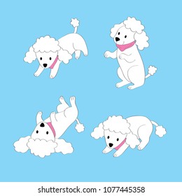 Cartoon cute actions adorable white poodle on blue background vector.