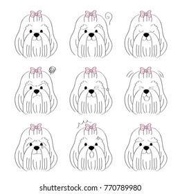 Cartoon cute actions Long Maltese dog vector.