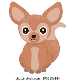 Cartoon cute African fennec fox with ruddy cheeks on a white background. Illustration of a tropical animal for printing on children's clothing, t-shirt, fabric, sticker. Vector.