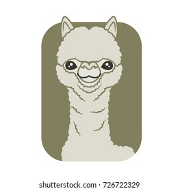 Cartoon Cute alpaca llama vector illustration - vector character