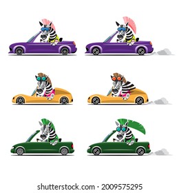 Cartoon cute animal drive car on the road. Animal driver, pets vehicle and zebra happy in car. Cartoon style hand drawn for printing, card, t shirt, banner, product vector illustration