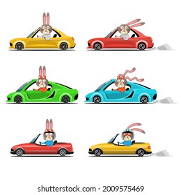 Cartoon cute animal drive car on the road. Animal driver, pets vehicle and rabbit happy in car. Cartoon style hand drawn for printing, card, t shirt, banner, product vector illustration