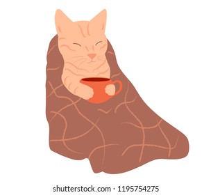 Cartoon cute autumn cat in checkered brown blanket with a cup of hot tea or coffee