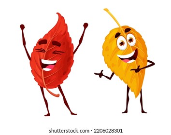 Cartoon cute autumn red and yellow leaf characters. Isolated vector bright colorful tree foliage personages laugh and gesturing. Back to school, fall season, natural design elements have fun and smile