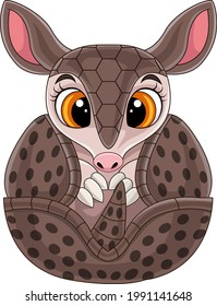 Cartoon cute baby armadillo rolled up