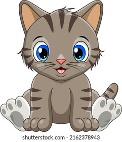 Cartoon cute baby cat sitting
