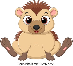 Cartoon cute baby hedgehog sitting
