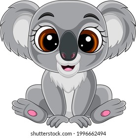 Cartoon cute baby koala sitting