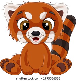 Cartoon cute baby red panda sitting