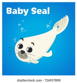 Cartoon Cute Baby Seal. Character design. Vector illustration