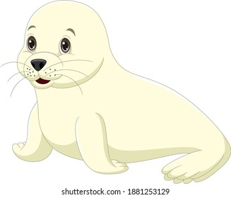 Cartoon cute baby seal on white background