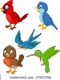 Cartoon cute birds collection set